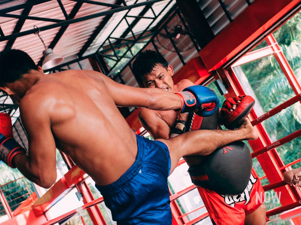Training of Muay Thai kicking techniques 