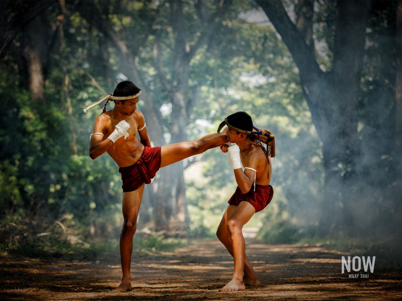 Muay Thai Benefits, Muay Thai Training