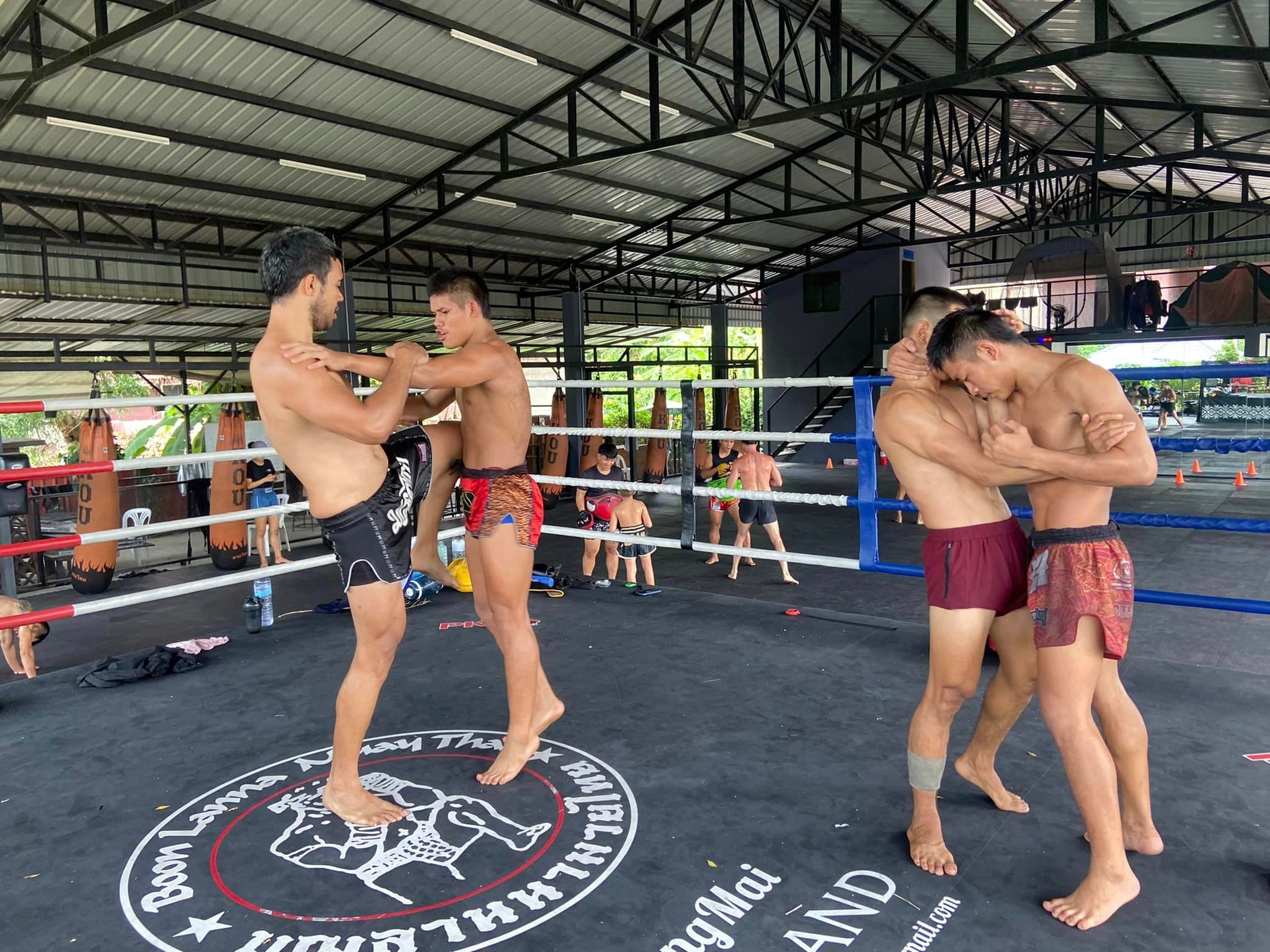 Muay Thai visual data 5