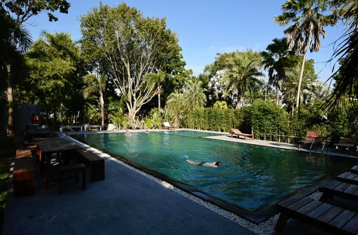 Relax and recharge after Muay Thai training with a refreshing swim at Bangarang Camp in Chiang Mai, surrounded by peaceful tropical scenery.
