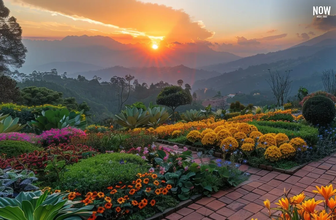 Chiang Rai.webp