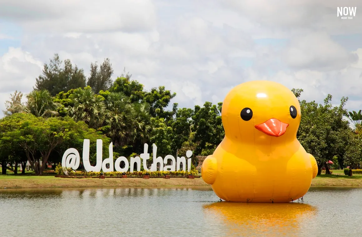 Nong Prachak Public Park, located in the heart of Udon Thani city, is a large area where locals engage in outdoor activities, especially in the mornings and evenings.