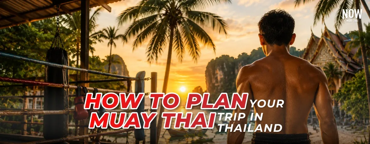 How-To-Plan-cover.webp
