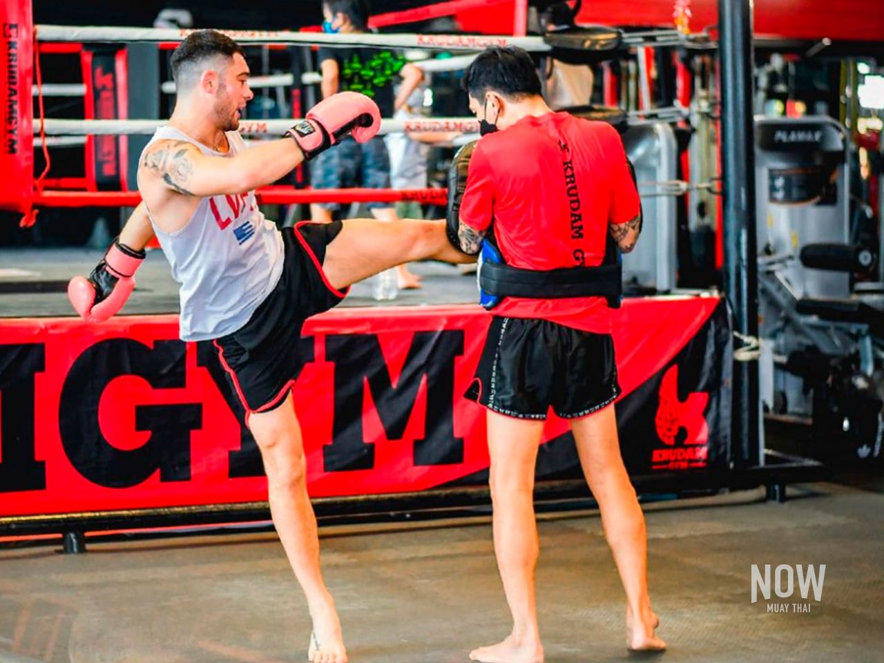 experience and expertise of the Muay Thai gym and trainer