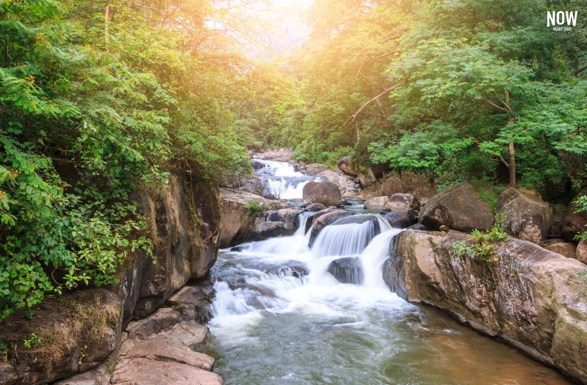 Forest landscape in Khao Yai National Park