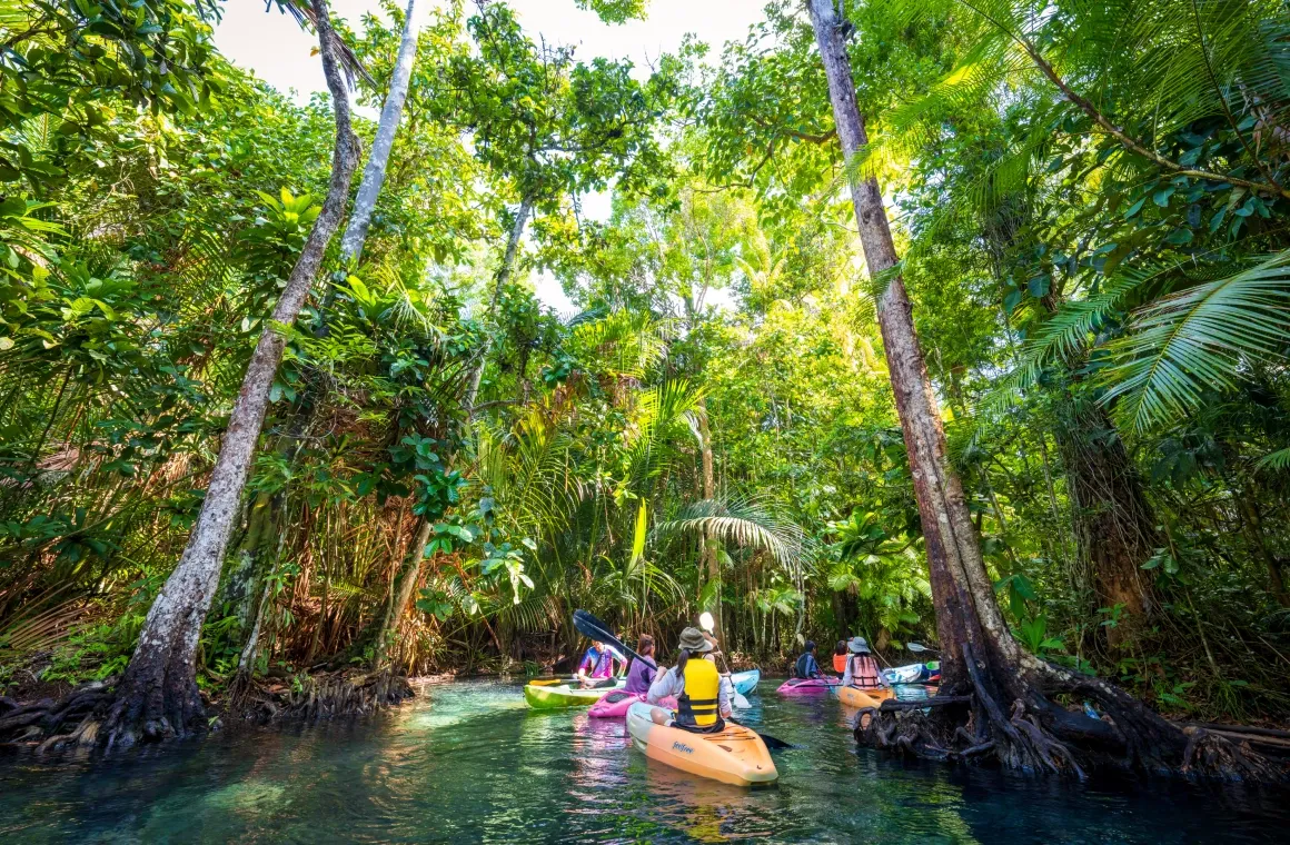 Klong Root & Klong Nam Sai.webp