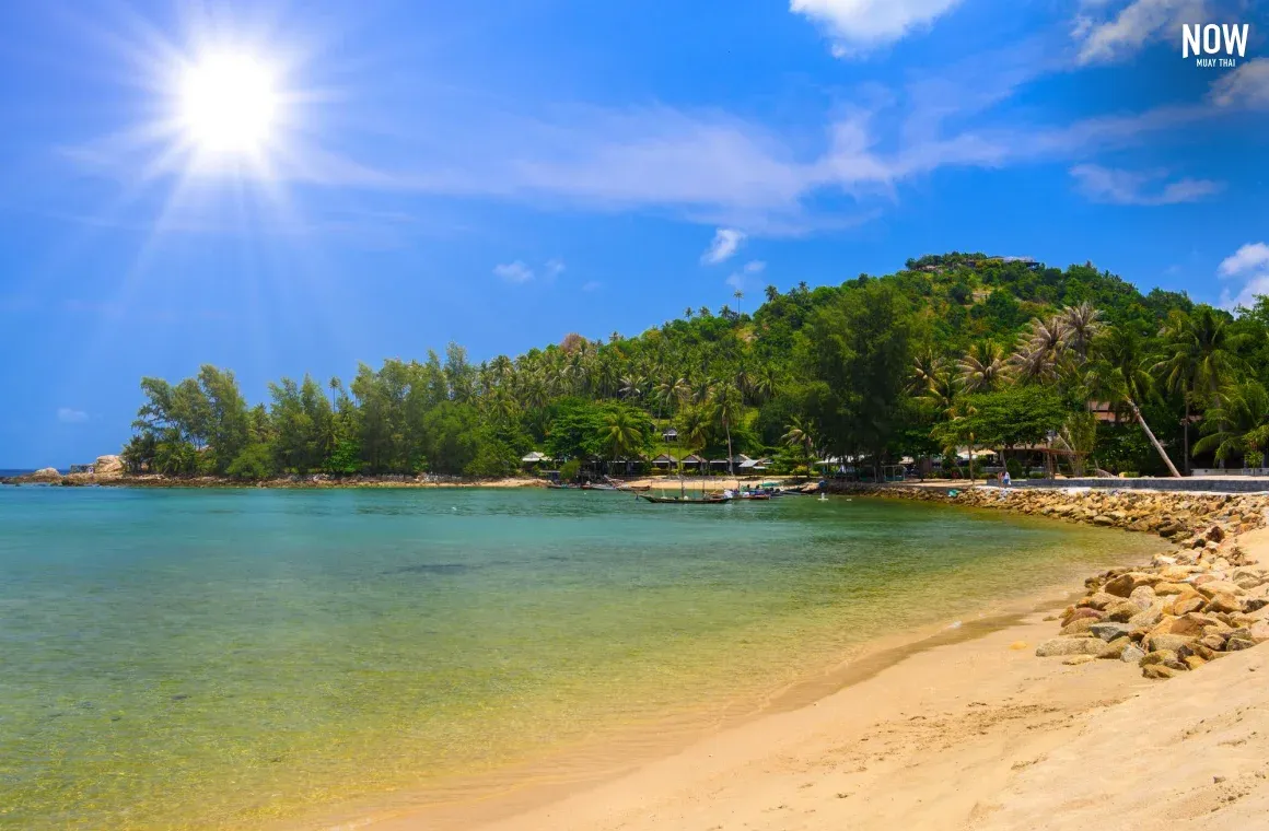 Koh Phangan beach.webp