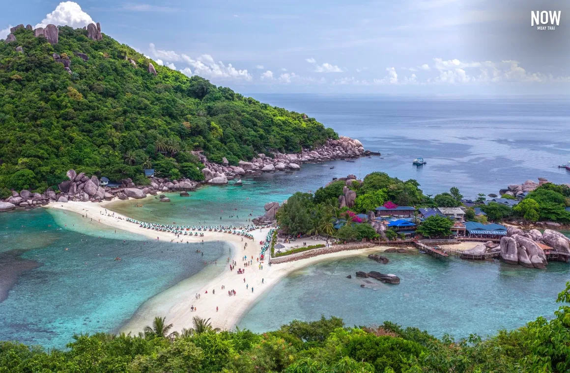 Koh Phangan.webp