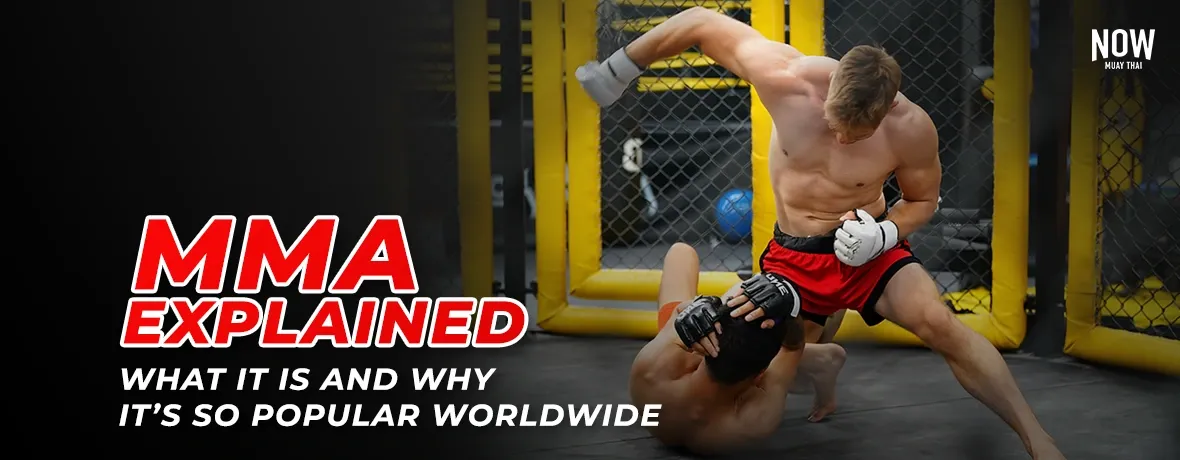 MMA-Explained@cover2.webp
