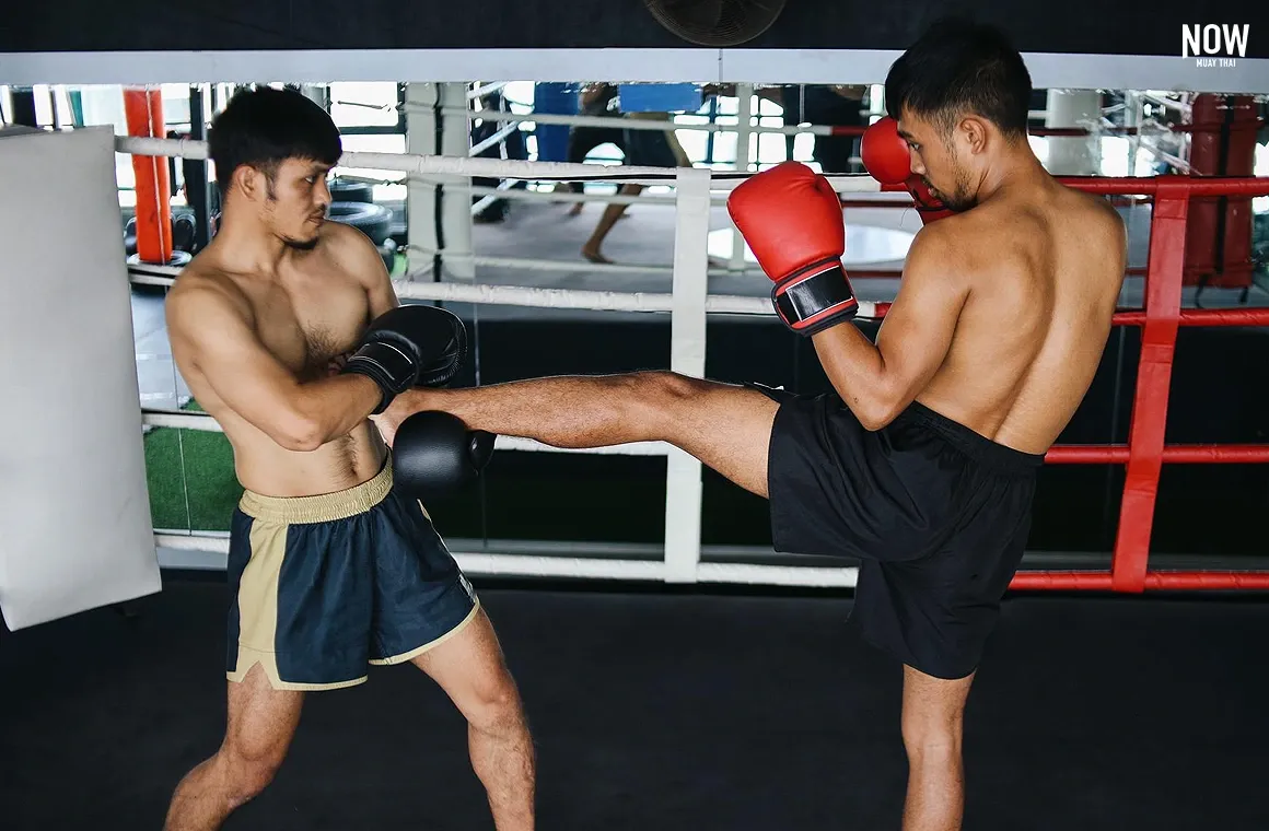 MMA fighters applying Muay Thai techniques, demonstrating powerful shin strikes and knee strikes that generate more impact than kickboxing-style foot kicks.

