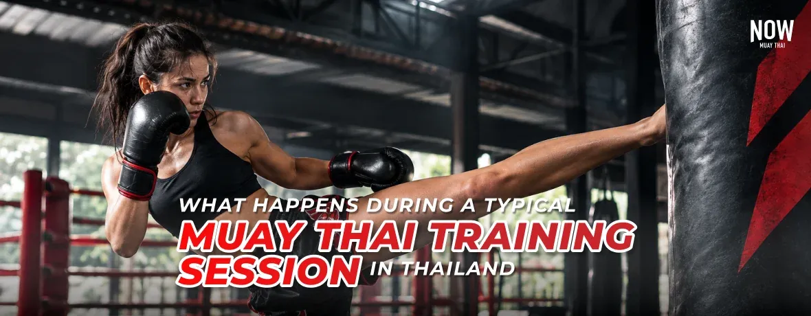 MT-Training-Session-cover.webp