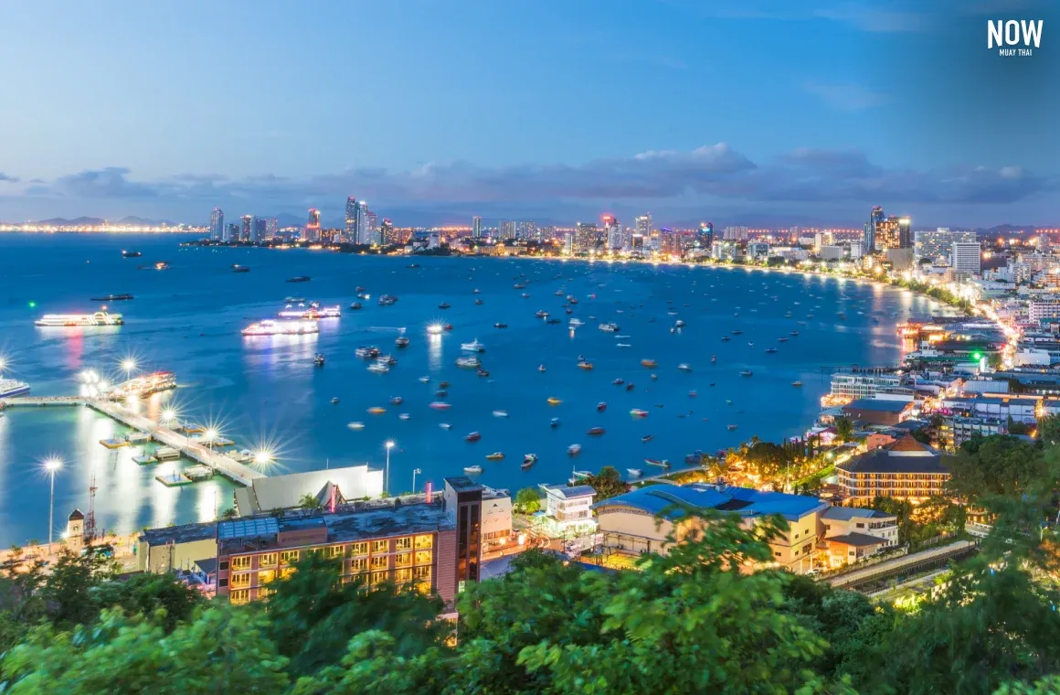 Pattaya cover.webp