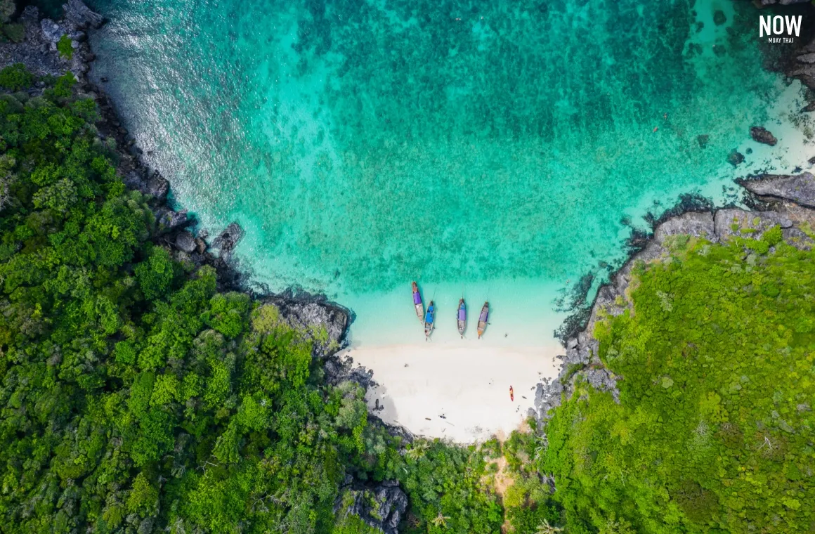Phi Phi Island.webp