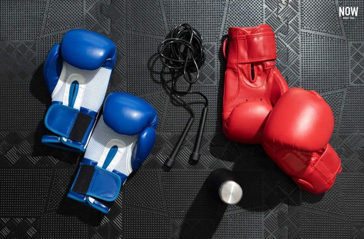 Muay Thai red and blue gloves