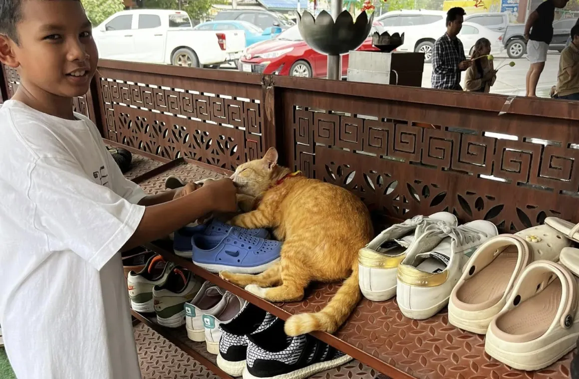 Leave your shoes outside before you go in to a temple