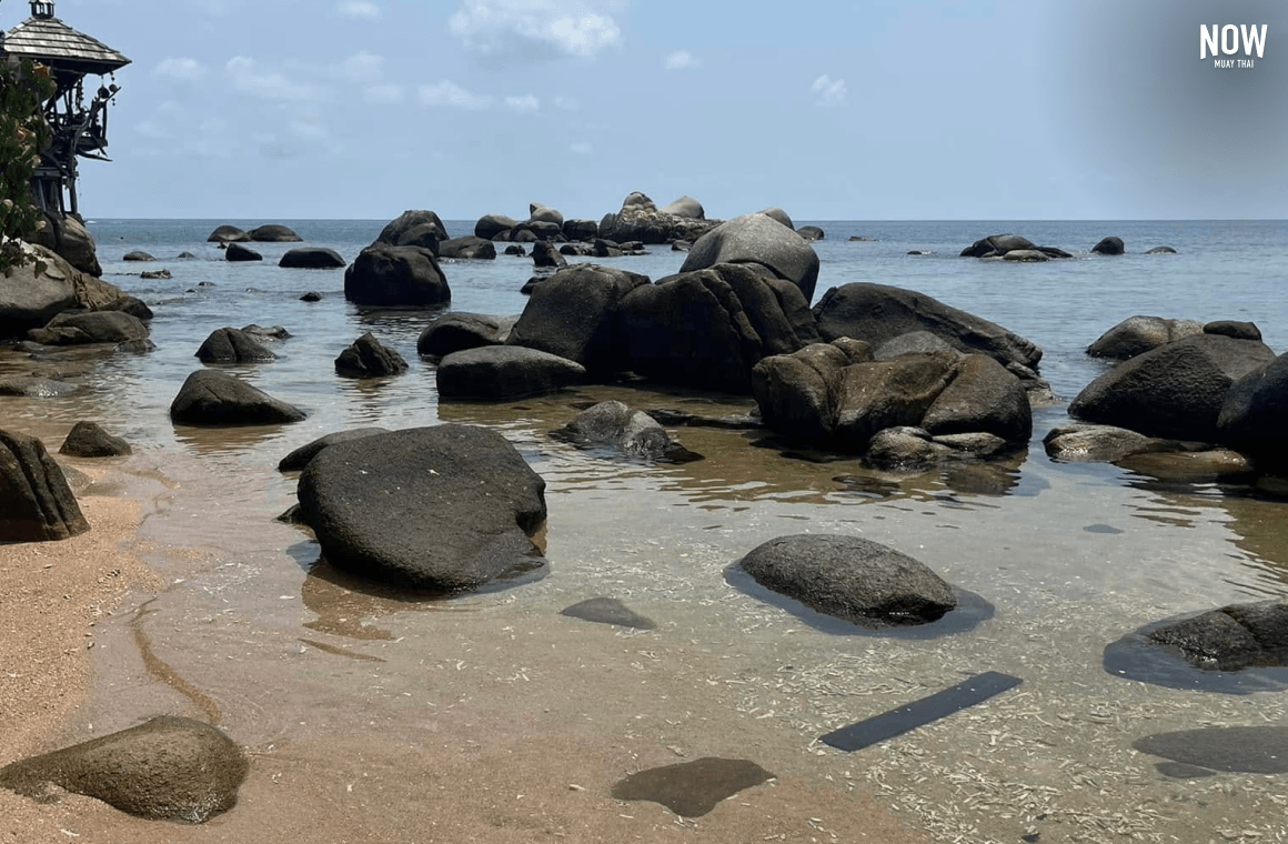 Surat Thani.png