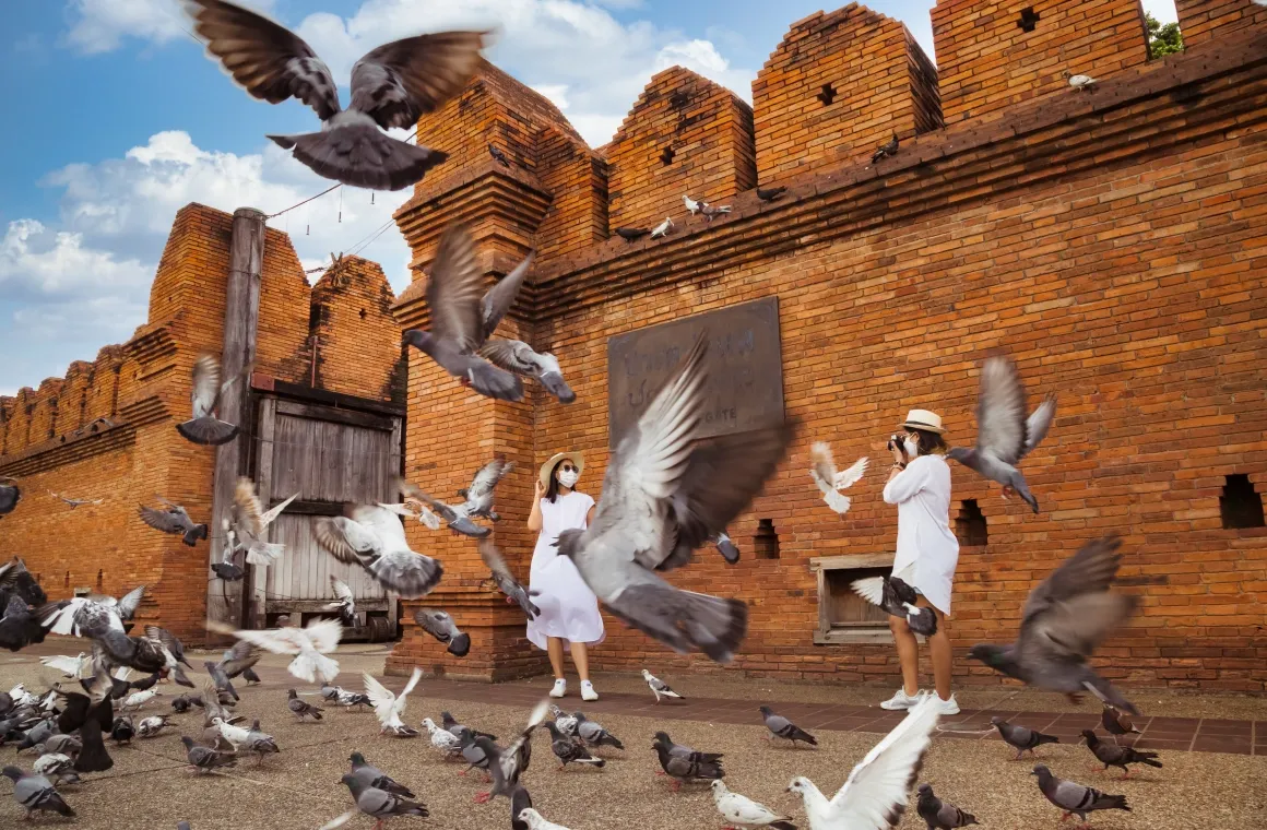 Tha Phae Gate.webp