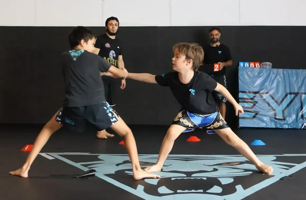 Tiger Eye MMA 2.webp