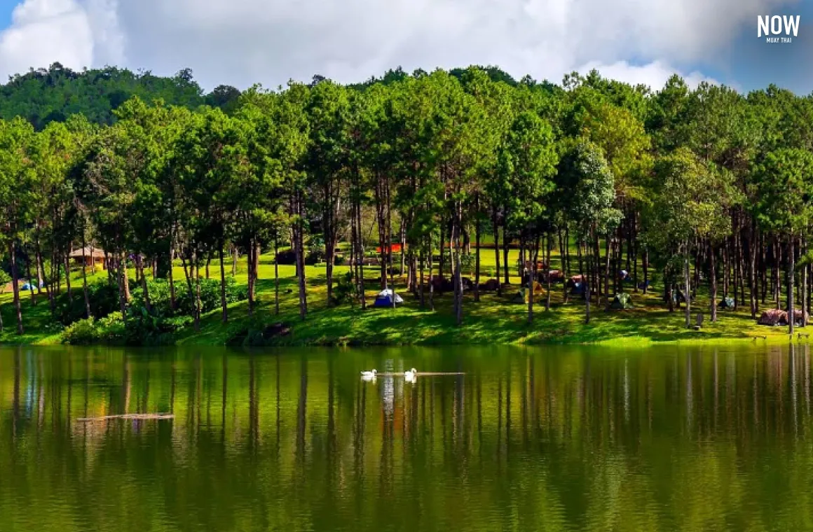 Google Maps location of the water Reservoir