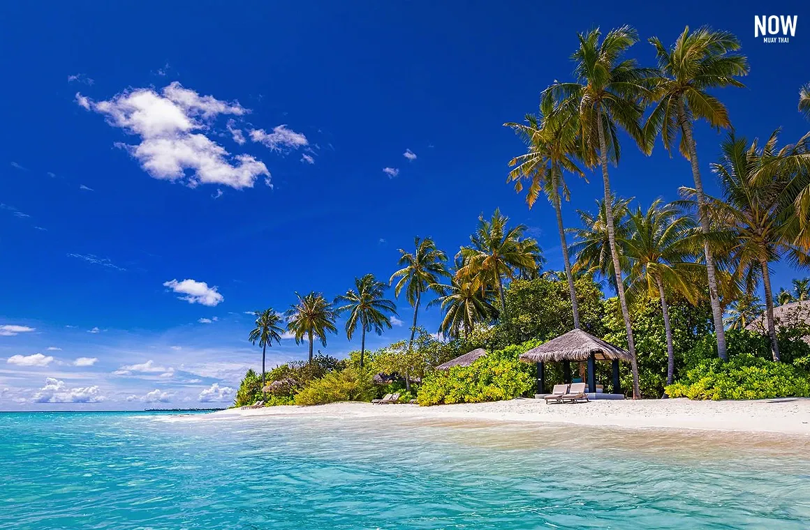  A tropical paradise beach on Koh Samui with soft white sand, swaying palm trees, gentle waves, and a tranquil turquoise sea under a clear summer sky – the perfect luxury vacation destination.
