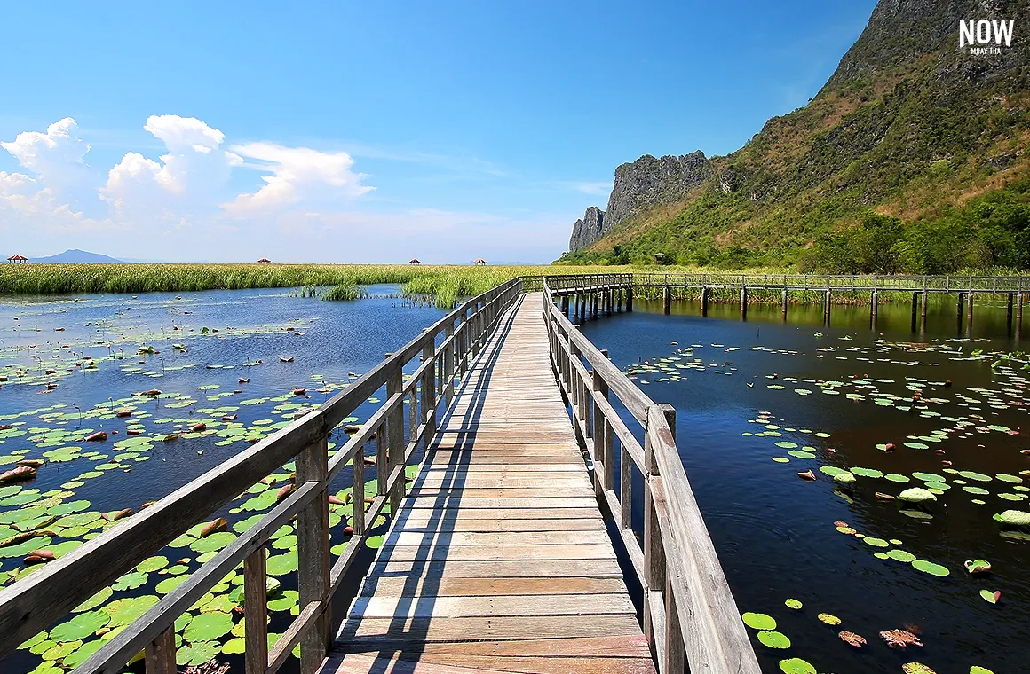 blog-Gyms-in-Hua-Hin-National-Parks.webp