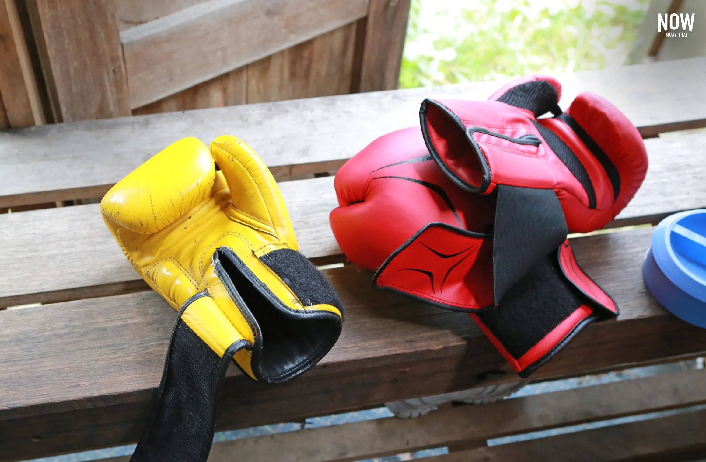 Muay Thai gloves, highlighting the importance of choosing the right gloves for safety and effective training.
