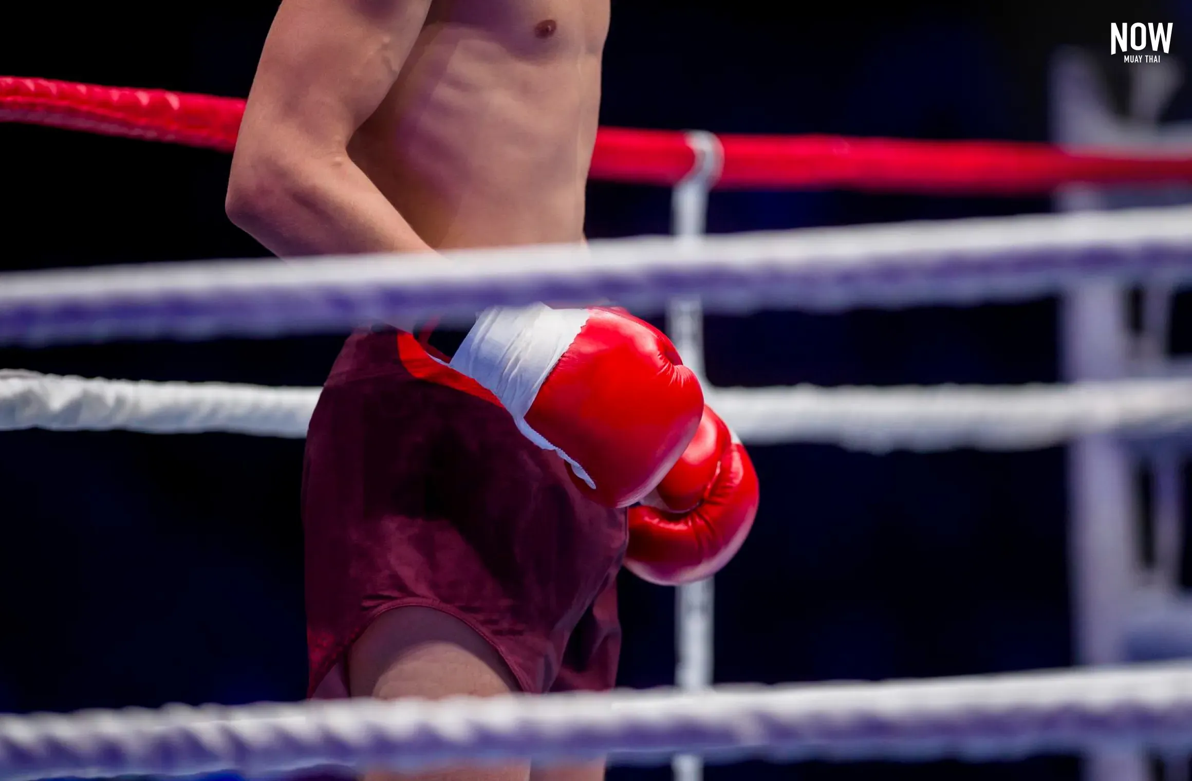 Traditional Muay Thai fighter wearing classic lace-up gloves, designed for full-contact striking and clinching in authentic Muay Thai competition.