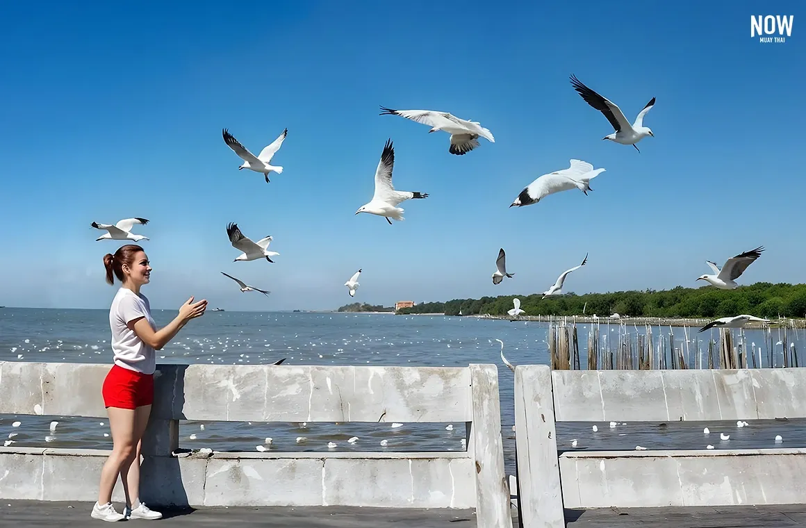 A peaceful seaside destination popular for spotting migratory birds, especially seagulls, and enjoying a quiet retreat by the water.