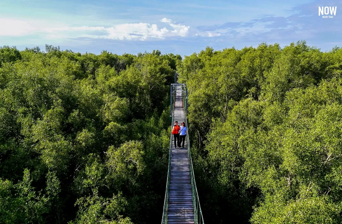 Bangpu Nature Education Center is an ideal destination for families, students, and anyone looking to connect with nature while learning about ecological conservation.