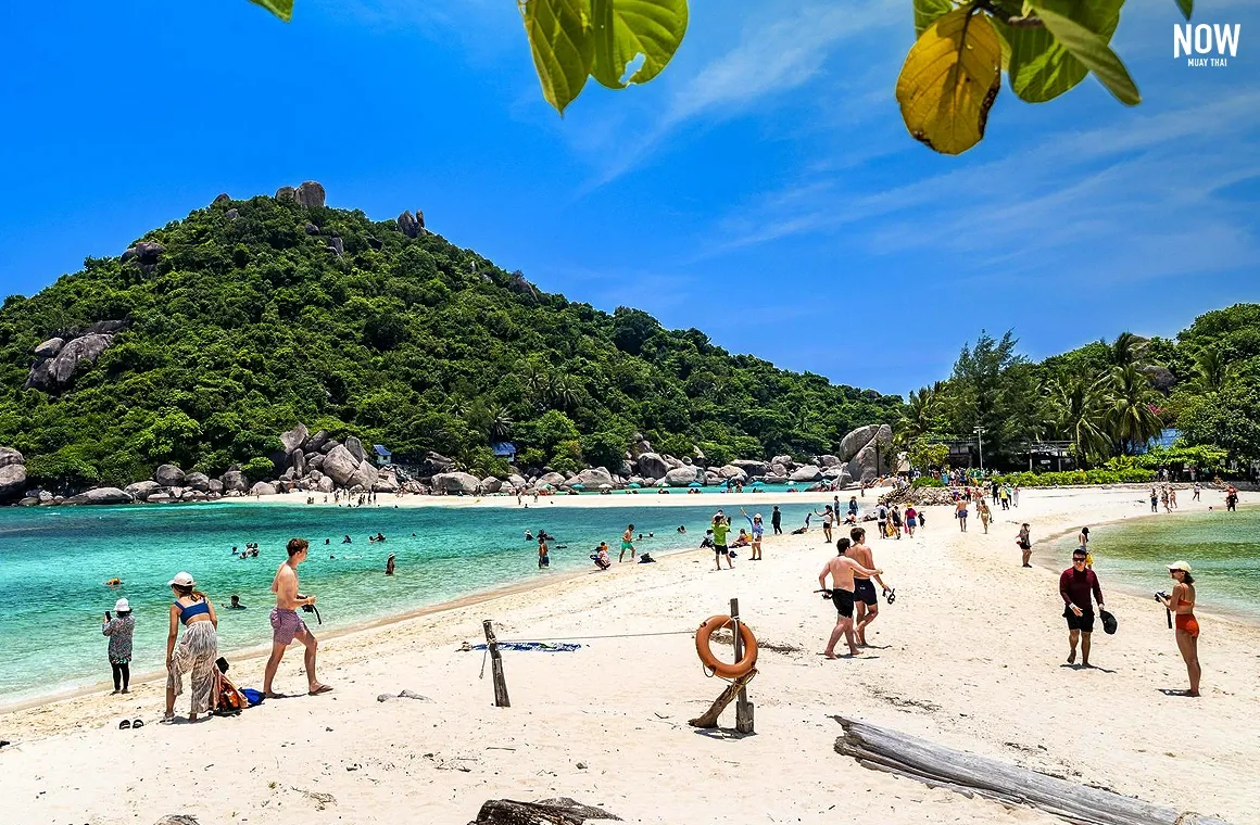 Tourists relax on the pristine white sand beach of Nang Yuan Islands, Surat Thani, Thailand, surrounded by crystal-clear waters and stunning natural beauty - a perfect tropical escape.
