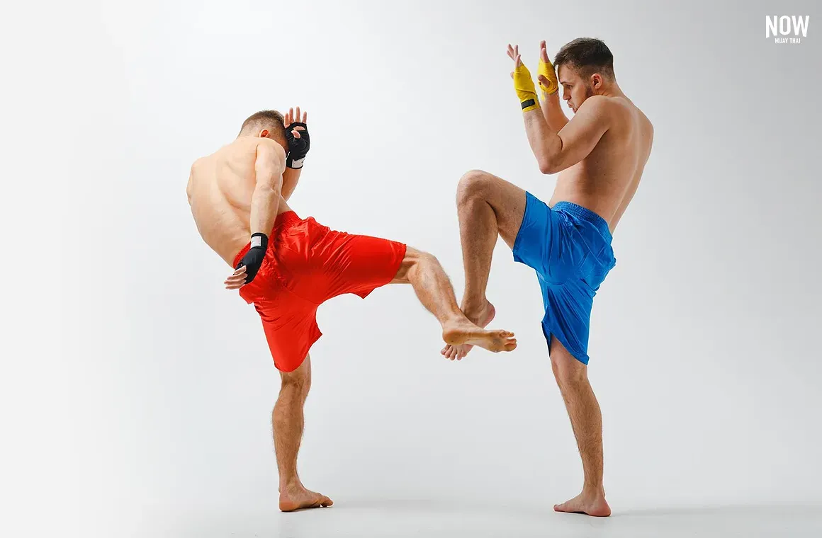 Two fighters demonstrate the Muay Thai technique of checking, a vital defensive move used to block low kicks and prevent destabilization without taking full impact..