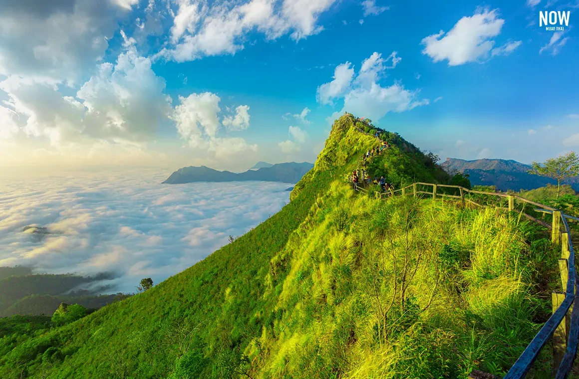 A stunning Photo of mountain peak Phu Chi Dao Chiang Rai, Thailand.