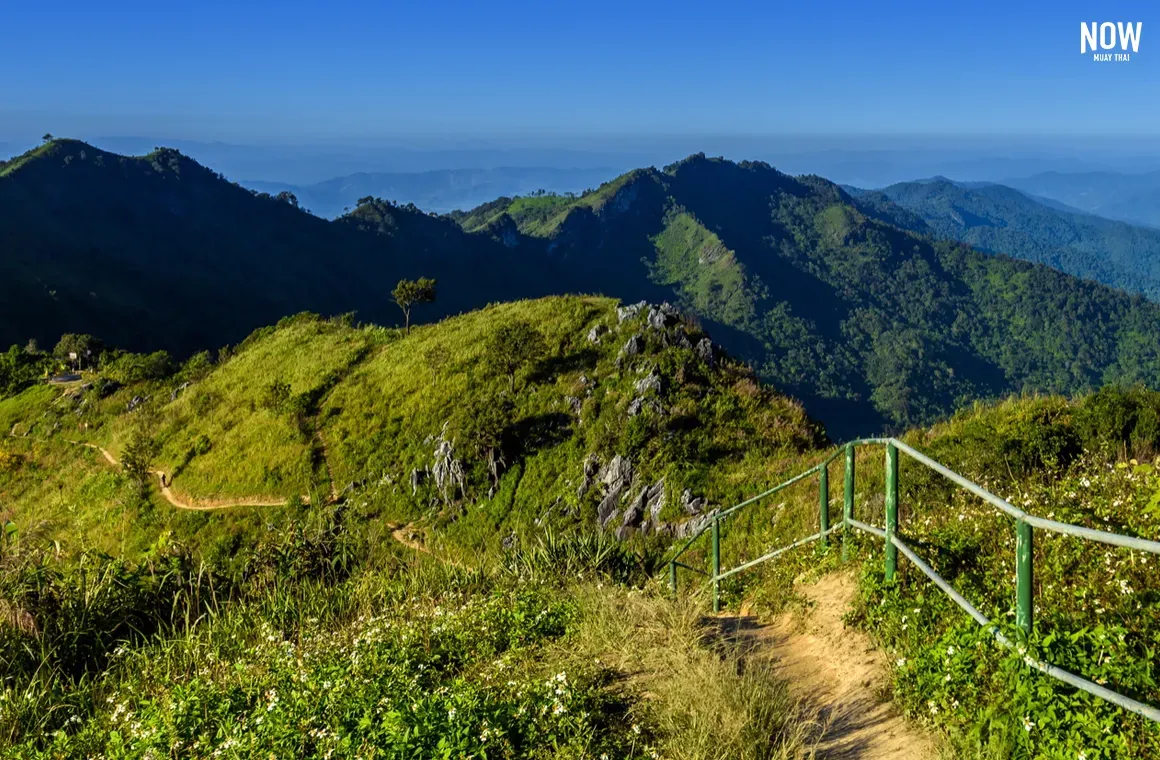 Photo of Walkway to the viewpoint of Doi Pha Tang ,Chiang Rai Thailand.