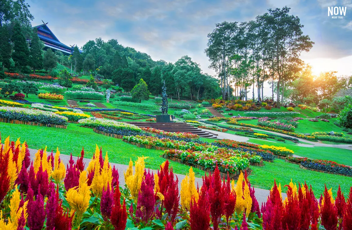 Mae fah luang garden locate on Doi Tung in Chiang Rai,Thailand.