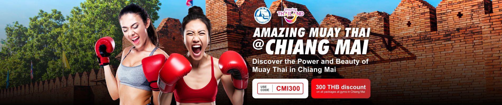 The Best Muay Thai Gyms in Chiang Mai