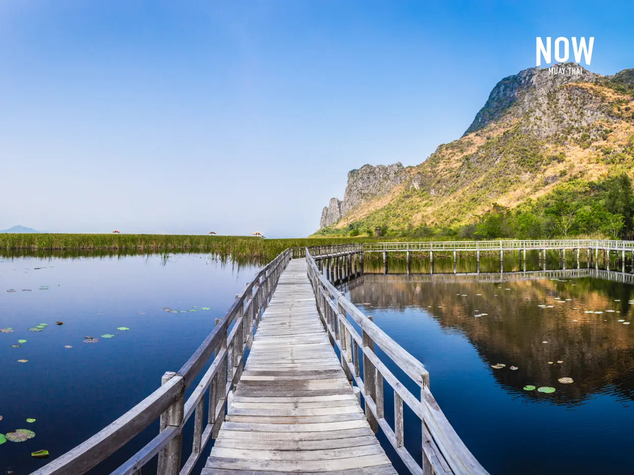 Wooden bridge walkway in swamp with grass field, blue sky and mountain range in the background in Khao Sam Roi Yot National Park, Kui Buri District, Prachuap Khiri Khan, Thailand